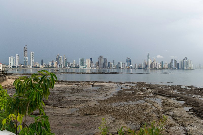 20101201_183013 D3S.jpg - Panama City Skyline from outside the National Institute of Culture